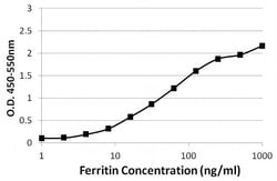 Ferritin Monoclonal Antibody (101), Invitrogen™