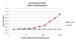 Invitrogen Ferritin Monoclonal Antibody (513C10) 100 &mu;g; Unconjugated:Antibodies,