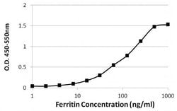 Ferritin Monoclonal Antibody (521), Invitrogen 1 mg; Unconjugated:Antibodies