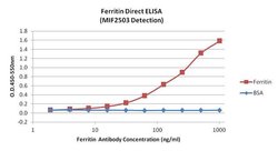 Invitrogen Ferritin Monoclonal Antibody (523) 1 mg; Unconjugated:Antibodies,