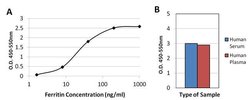 Invitrogen Ferritin Monoclonal Antibody (523) 1 mg; Unconjugated:Antibodies,