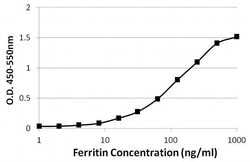 Invitrogen Ferritin Monoclonal Antibody (523) 1 mg; Unconjugated:Antibodies,