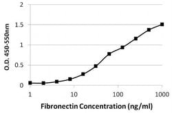 Invitrogen Fibronectin Monoclonal Antibody (3F12) 100 &mu;g; Unconjugated:Antibodies,