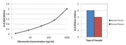 Invitrogen Fibronectin Monoclonal Antibody (3F12) 100 &mu;g; Unconjugated:Antibodies,