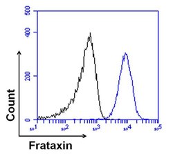 Invitrogen FXN Monoclonal Antibody (NPM-1B2) 50 &mu;L; Unconjugated:Antibodies,