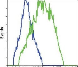 Invitrogen GFP Monoclonal Antibody (4B10B2) 100 &mu;g; Unconjugated:Antibodies,