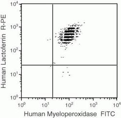 Invitrogen Myeloperoxidase Monoclonal Antibody (8E6), FITC 1 mL; FITC:Antibodies,