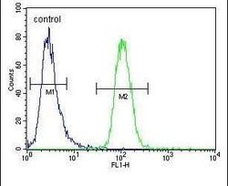 GNL3L Rabbit anti-Human, Polyclonal, Invitrogen 400 &mu;L; Unconjugated:Antibodies,