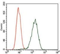 Invitrogen Glypican 3 Monoclonal Antibody (9C2) 100 &mu;g | Buy Online | Invitrogen&trade; | Fisher Scientific