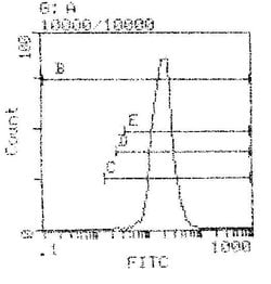 Invitrogen H-2Kb/H2-Db Monoclonal Antibody (5041.16.1) 250 &mu;g; Unconjugated:Antibodies,