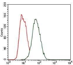 Invitrogen HEXA Monoclonal Antibody (3F10) 100 &mu;g; Unconjugated:Antibodies,