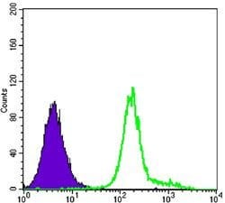 HK1 Monoclonal Antibody (3A10):Antibodies, Monoclonal