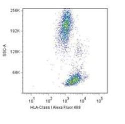 Invitrogen HLA-ABC Monoclonal Antibody (W6/32), Functional Grade 100 &mu;L;