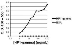 Invitrogen HP1 gamma Monoclonal Antibody (2MOD-1G6) 50 &mu;L; Unconjugated:Antibodies,
