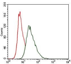 Invitrogen HSF4 Monoclonal Antibody (2E7) 100 &mu;g; Unconjugated:Antibodies,