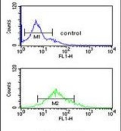 H3K9me2 Polyclonal Antibody, Invitrogen 400 &mu;L; Unconjugated:Antibodies,