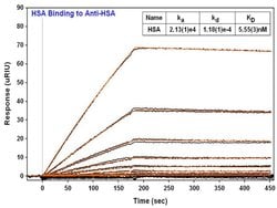 Human Serum Albumin Monoclonal Antibody (12D12), Invitrogen 1 mg; Unconjugated:Anticorps,