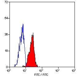 Invitrogen ICAM-1 Monoclonal Antibody (15.2) 200 &mu;g; Unconjugated:Antibodies,