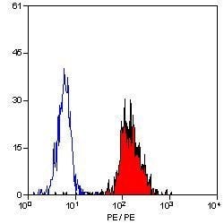 Invitrogen ICAM-1 Monoclonal Antibody (15.2) 200 &mu;g; Unconjugated:Antibodies,