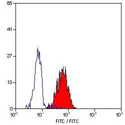 Invitrogen ICAM-1 Monoclonal Antibody (15.2) 200 &mu;g; Unconjugated:Antibodies,