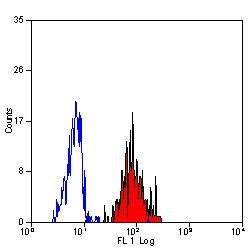 Invitrogen ICAM-1 Monoclonal Antibody (15.2) 200 &mu;g; Unconjugated:Antibodies,