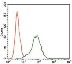 Invitrogen IGF2 Monoclonal Antibody (8H1) 100 &mu;g; Unconjugated:Antibodies,