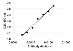 Invitrogen IL-2 Recombinant Rabbit Monoclonal Antibody (2H20L7) 100 &mu;g | Buy Online | Invitrogen&trade; | Fisher Scientific