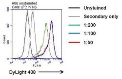Invitrogen IL-6 Recombinant Rabbit Monoclonal Antibody (4H16L21) 100 &mu;g;