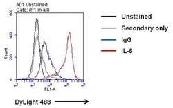 Invitrogen IL-6 Recombinant Rabbit Monoclonal Antibody (4H16L21) 100 &mu;g;