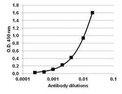 Invitrogen IL-6 Polyclonal Antibody 1 mg; Unconjugated:Antibodies, Polyclonal