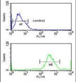 IRGQ Rabbit anti-Human, Polyclonal, Invitrogen 400 &mu;L; Unconjugated:Antibodies,