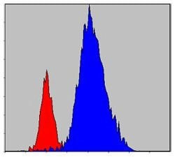Invitrogen JAK3 Monoclonal Antibody (5H2) 100 &mu;L; Unconjugated:Antibodies,