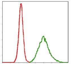 Invitrogen KCNQ1 Monoclonal Antibody (5E12) 100 &mu;L | Buy Online | Invitrogen&trade; | Fisher Scientific