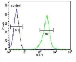 KCNV1 Polyclonal Antibody, Invitrogen 400 &mu;L; Unconjugated:Antibodies,