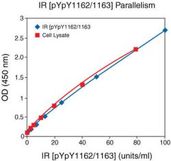 Invitrogen Human IR (Phospho) [pY1162/pY1163] ELISA Kit 96 Tests | Buy Online | Invitrogen&trade; | Fisher Scientific