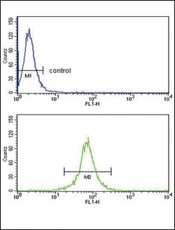 KIR2DL4 Rabbit anti-Human, Polyclonal, Invitrogen 400 &mu;L; Unconjugated:Antibodies,