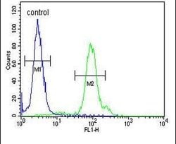 KLC2 Rabbit anti-Human, Mouse, Polyclonal, Invitrogen 400 μL; Unconjugated:Antibodies,