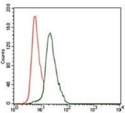 Invitrogen Cytokeratin 13 Monoclonal Antibody (3G4) 100 &mu;g; Unconjugated:Antibodies,