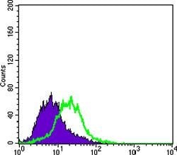 Invitrogen Cytokeratin 15 Monoclonal Antibody (6E7) 100 &mu;L; Unconjugated:Antibodies,
