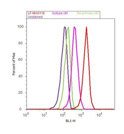 Ubiquitin Mouse anti-Human, Clone: 2A1, Invitrogen 100 &mu;L; Unconjugated:Antibodies,
