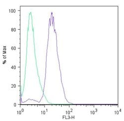 Invitrogen LIN28A Polyclonal Antibody 100 &mu;g; Unconjugated:Antibodies,