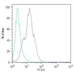Invitrogen LIN28A Polyclonal Antibody 100 &mu;g; Unconjugated:Antibodies,
