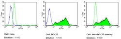 Invitrogen LIN28A Monoclonal Antibody (14E6-4E6), DyLight 488 100 &mu;L | Buy Online | Invitrogen&trade; | Fisher Scientific