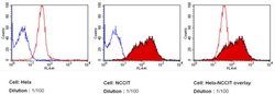 Invitrogen LIN28A Monoclonal Antibody (14E6-4E6), DyLight 650 100 &mu;L;