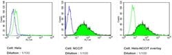 Invitrogen SSEA3 Monoclonal Antibody (MC-631), DyLight 488 100 &mu;L; DyLight