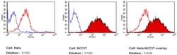 Invitrogen SSEA3 Monoclonal Antibody (MC-631), DyLight 650 100 &mu;L; DyLight