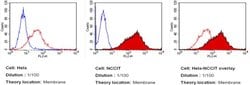Invitrogen SSEA3 Monoclonal Antibody (MC-631), PE 100 &mu;L; PE:Antibodies,