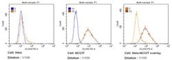 Invitrogen SSEA4 Monoclonal Antibody (MC-813-70), DyLight 550 100 &mu;L;