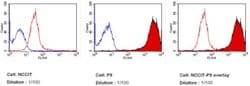Invitrogen SSEA1 Monoclonal Antibody (MC-480), DyLight 650 100 &mu;L; DyLight