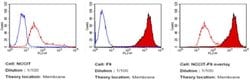 Invitrogen SSEA1 Monoclonal Antibody (MC-480), PE 100 μL; PE:Antibodies,